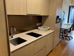 Duo Residences (D7), Apartment #459597051